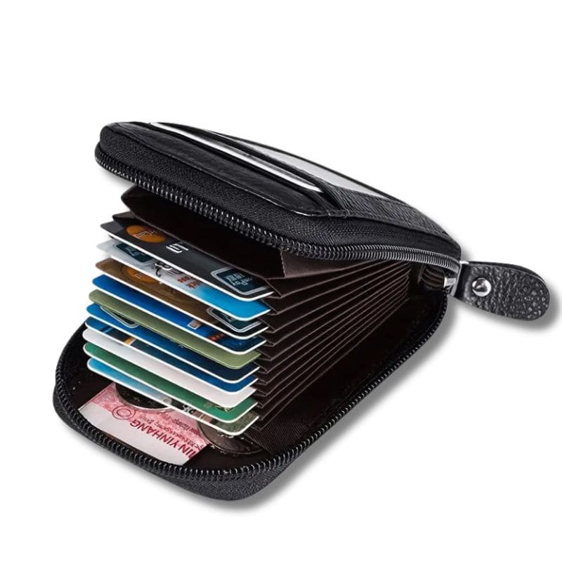 Accordion Card Wallet + Electronics Organizer Case
